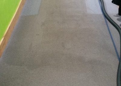 carpet cleaning