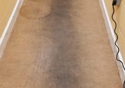 before carpet cleaning